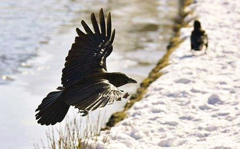 ����ѻ��ˮ�����ĵĽ�ѧ��˼