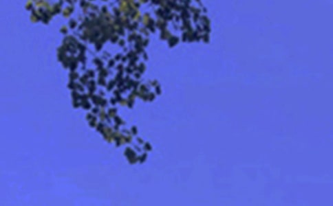 �簲ǩ������ѡ30�䣩