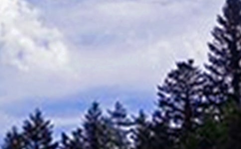 经典治愈午安寄语大全(精选60句)