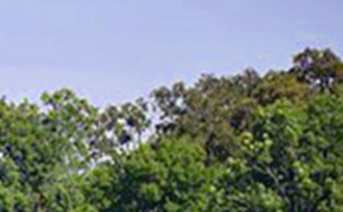 关于治愈午安朋友圈100句