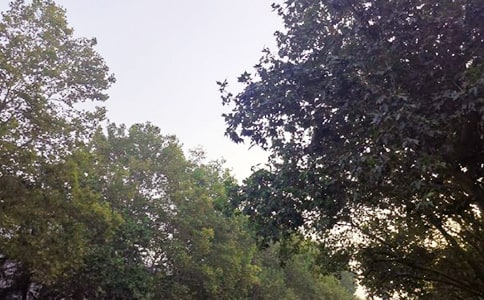 特别走心的关于午安的正能量句子摘录