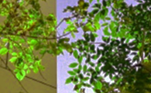 ����ů���簲����Ȧ��ͨ��40�䣩