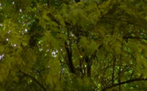 朋友圈午安短句大全60句