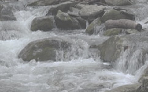 ��СϪ���ĸ衷�����ѧ��Ʒ���