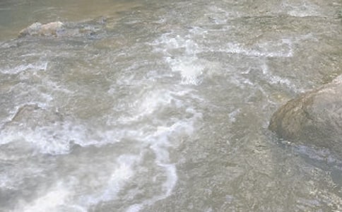 ��СϪ���ĸ衷��ѧ��ƣ�ͨ��6ƪ��