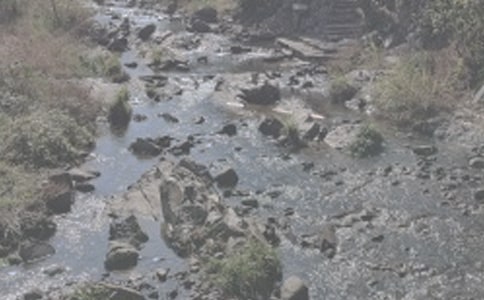 СϪ������������