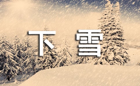 精选下雪了作文300字3篇