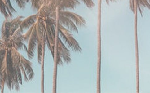 �ļ���Ѵ������֪ͨ��ͨ��15ƪ��