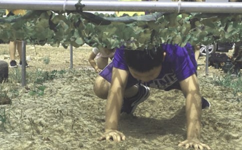 ��ѧ����Ӫѧ��������