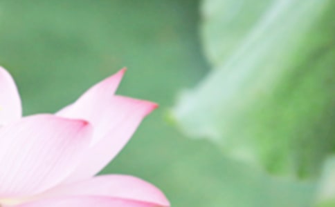 二十四节气夏至广播稿(精选10篇)