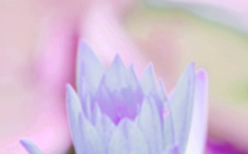 �������������ɶ��˼