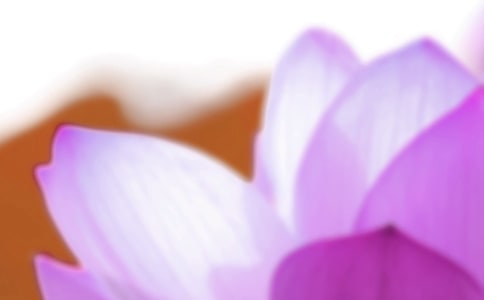 幼儿园夏至节气主题活动教案(通用6篇)