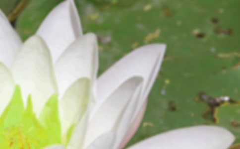 夏至节气朋友圈句子(精选70句)