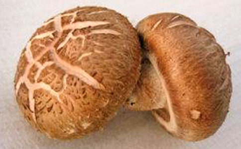 2016���������и����������㹽�����