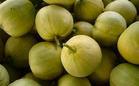 我爱香瓜三年级作文