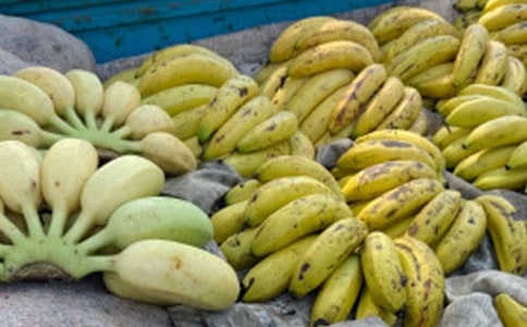 �㽶����600�ֽ���6ƪ