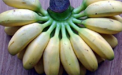 ���㽶�㽶���䡷˵�θ�