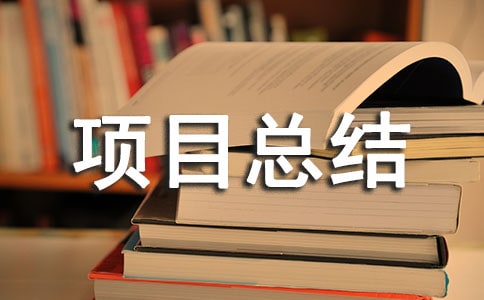 信息技术2.0项目总结(精选10篇)