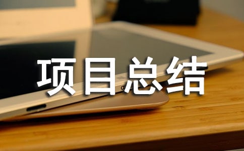 ������Ŀ�ܽᱨ��