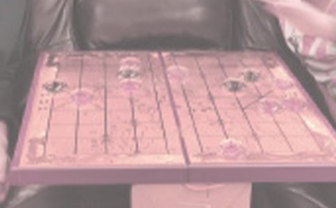 我家的象棋热的作文400字