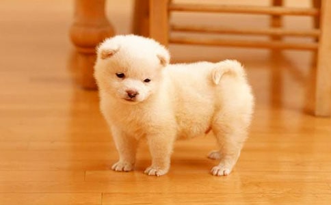 С�����ܽ�ѧ��˼���ģ���ѡ5ƪ��