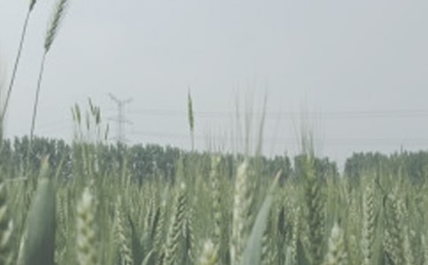 ����С������ͬ3ƪ