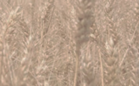 С������400��5ƪ