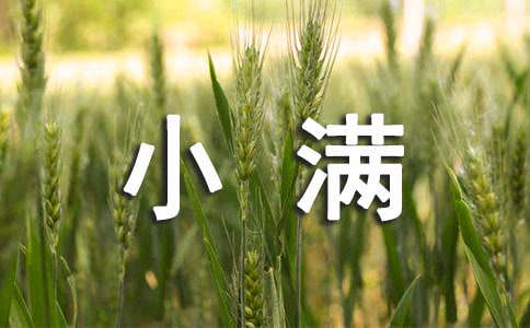 2022写给小满的文案(精选70句)