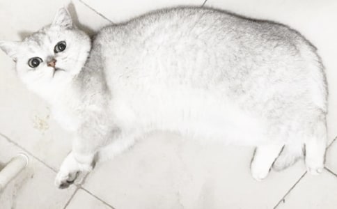 �����š�Сè������400����ƪ