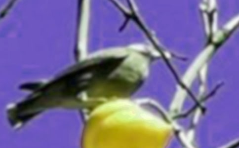 ������Ϸ��С���Ҽҡ���ѧ���