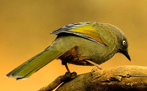 С��Ĺ۲��ռǺϼ�6ƪ