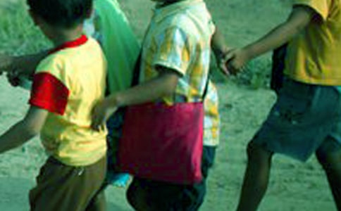 Сѧ����־���и壨ͨ��8�ף�