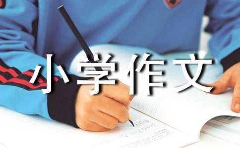 过年小学作文400字(精选23篇)