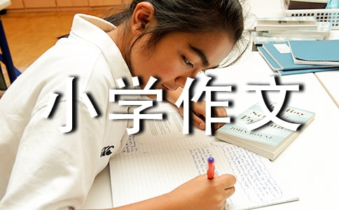 小学作文300字鱼儿细语