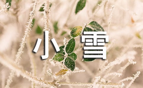小雪的心动700字初二作文