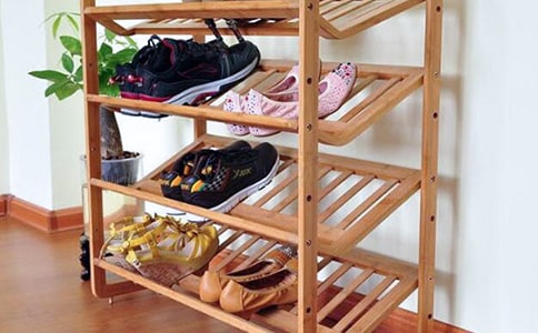 《母亲的鞋架》阅读答案