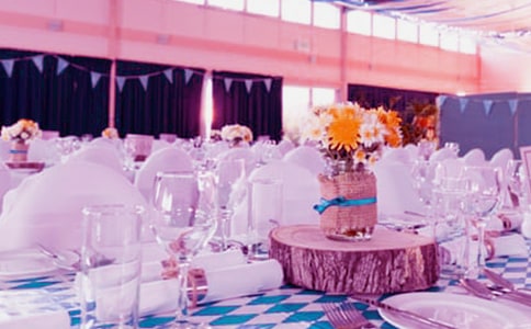 �»������ף������