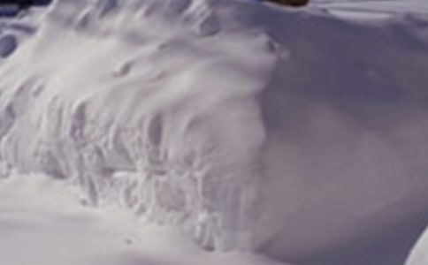 ��ѩ�ֺ���Ӧ��Ԥ��