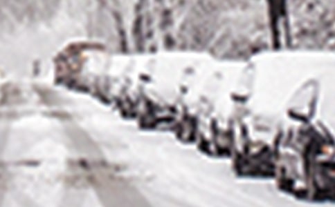 预防雪灾应急预案