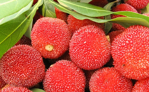 �йء��Ұ��������÷���������ѧ���