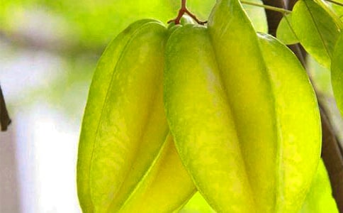 �������ҡ���ѧ����뷴˼