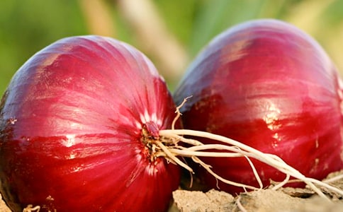 ��е�����300�ֺϼ�6ƪ