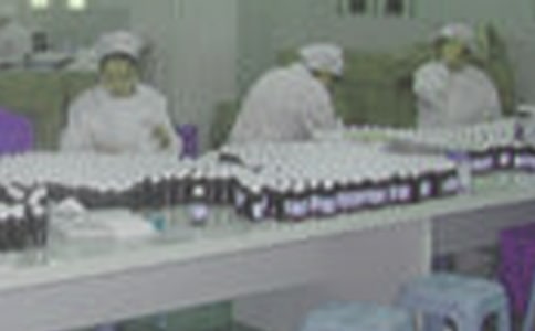 药厂生产班长工作总结