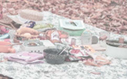 野餐的作文400字(通用37篇)