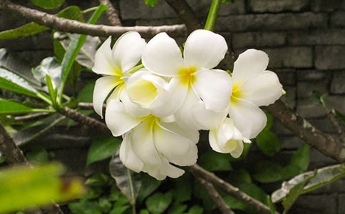 ҹ����Сѧ��400������