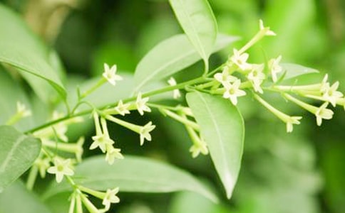 ��дҹ���������3ƪ