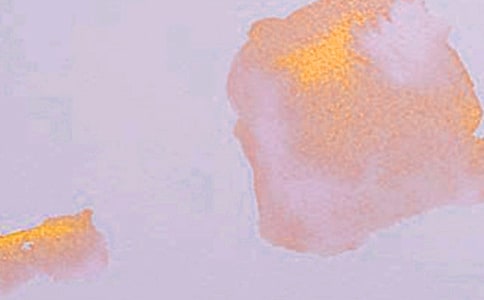 ��������������ѧ���