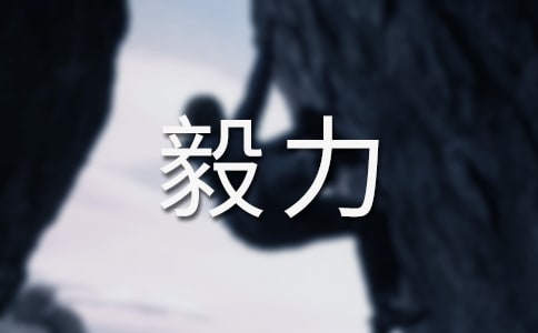 毅力优秀作文600字18篇