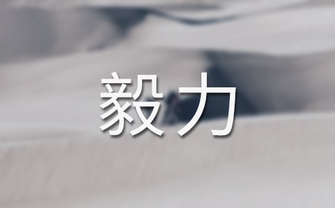 【精选】毅力作文500字4篇