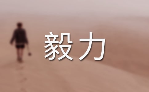 �����ļ�����800��